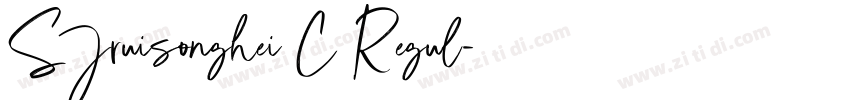 SJruisonghei C Regul字体转换